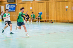 20260308-20260308_mB_TuS-05-Daun-HSG-Obere-Nahe-236