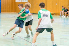 20260308-20260308_mB_TuS-05-Daun-HSG-Obere-Nahe-239