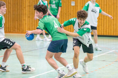 20260308-20260308_mB_TuS-05-Daun-HSG-Obere-Nahe-24