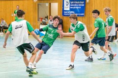 20260308-20260308_mB_TuS-05-Daun-HSG-Obere-Nahe-241