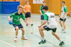 20260308-20260308_mB_TuS-05-Daun-HSG-Obere-Nahe-242