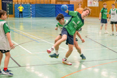 20260308-20260308_mB_TuS-05-Daun-HSG-Obere-Nahe-243