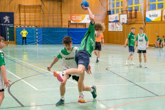 20260308-20260308_mB_TuS-05-Daun-HSG-Obere-Nahe-244