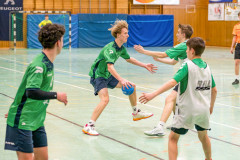 20260308-20260308_mB_TuS-05-Daun-HSG-Obere-Nahe-252