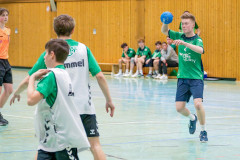 20260308-20260308_mB_TuS-05-Daun-HSG-Obere-Nahe-257