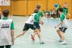 20260308-20260308_mB_TuS-05-Daun-HSG-Obere-Nahe-258