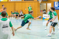 20260308-20260308_mB_TuS-05-Daun-HSG-Obere-Nahe-260