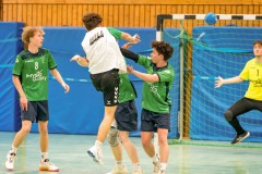 20260308-20260308_mB_TuS-05-Daun-HSG-Obere-Nahe-31