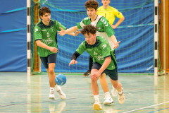 20260308-20260308_mB_TuS-05-Daun-HSG-Obere-Nahe-38