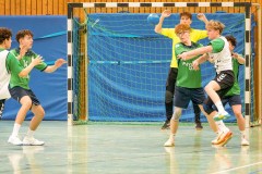 20260308-20260308_mB_TuS-05-Daun-HSG-Obere-Nahe-4