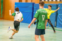 20260308-20260308_mB_TuS-05-Daun-HSG-Obere-Nahe-42