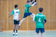 20260308-20260308_mB_TuS-05-Daun-HSG-Obere-Nahe-43