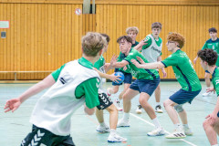 20260308-20260308_mB_TuS-05-Daun-HSG-Obere-Nahe-48