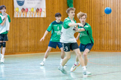 20260308-20260308_mB_TuS-05-Daun-HSG-Obere-Nahe-5