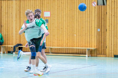 20260308-20260308_mB_TuS-05-Daun-HSG-Obere-Nahe-60