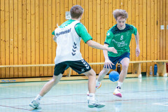 20260308-20260308_mB_TuS-05-Daun-HSG-Obere-Nahe-7