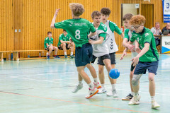 20260308-20260308_mB_TuS-05-Daun-HSG-Obere-Nahe-8