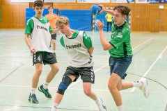 20260308-20260308_mB_TuS-05-Daun-HSG-Obere-Nahe-86