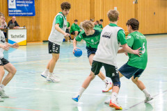 20260308-20260308_mB_TuS-05-Daun-HSG-Obere-Nahe-9