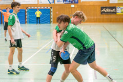 20260308-20260308_mB_TuS-05-Daun-HSG-Obere-Nahe-92