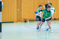 20260308-20260308_mB_TuS-05-Daun-HSG-Obere-Nahe-99