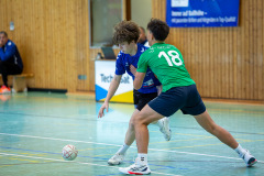 6J5A6603