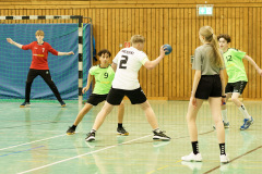 20250315_mC-TuS-05-Daun-JSG-Eifel-009-Enhanced-NR