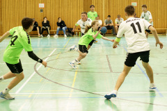 20250315_mC-TuS-05-Daun-JSG-Eifel-162-Enhanced-NR