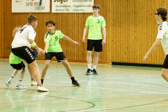 20250315_mC-TuS-05-Daun-JSG-Eifel-192-Enhanced-NR