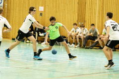 20250315_mC-TuS-05-Daun-JSG-Eifel-220-Enhanced-NR