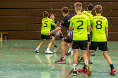 20240316-20240316_1200_x_800-037