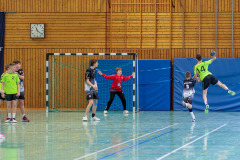 20240316-20240316_1200_x_800-049