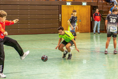 20240316-20240316_1200_x_800-177