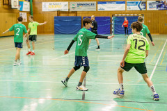 20250126-20250126_mC-TuS-05-Daun-HSG-Obere-Nahe-025
