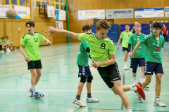 20250126-20250126_mC-TuS-05-Daun-HSG-Obere-Nahe-031