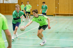 20250126-20250126_mC-TuS-05-Daun-HSG-Obere-Nahe-109