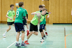 20250126-20250126_mC-TuS-05-Daun-HSG-Obere-Nahe-198
