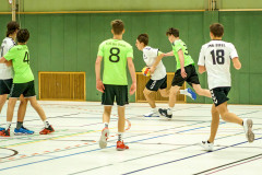 20250119-20250119_JSG-Eifel-mC-TuS-05-Daun-157