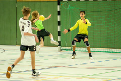 20250119-20250119_JSG-Eifel-mC-TuS-05-Daun-246