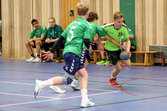20241102-20241102_HSG-Obere-Nahe-mC-TuS-05-Daun-043