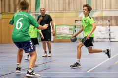 20241102-20241102_HSG-Obere-Nahe-mC-TuS-05-Daun-130