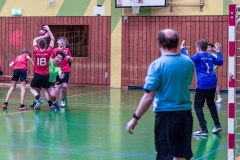 20240218-20240218-251