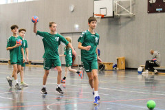 20231112-IMG_3108
