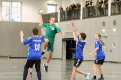 20231112-IMG_3113