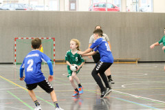 20231112-IMG_3118