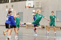 20231112-IMG_3120