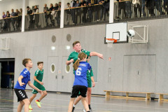 20231112-IMG_3146