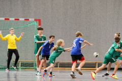 20231112-IMG_3161