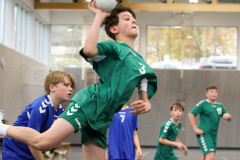 20231112-IMG_3175