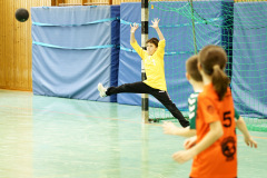 20250315_mD-TuS-05-Daun-HSC-Igel-008-Enhanced-NR